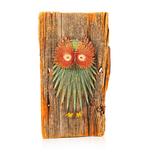 00.81 (A+D) Wood Light Owl String Art