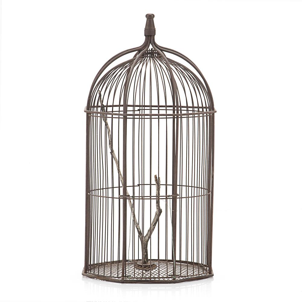 Birdcage with Tree Branch Perch