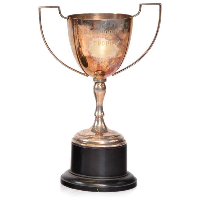 Brass Trophy Cup (A+D)