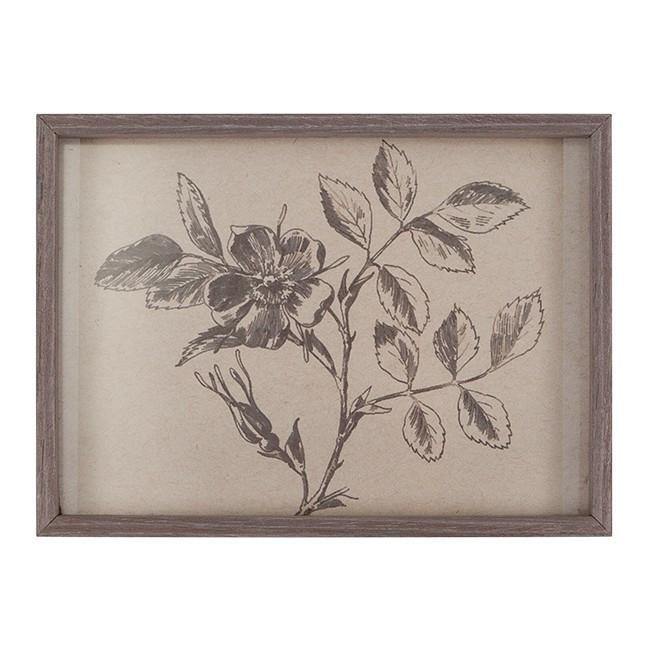 0493 (A+D) Rose Branch Engraving