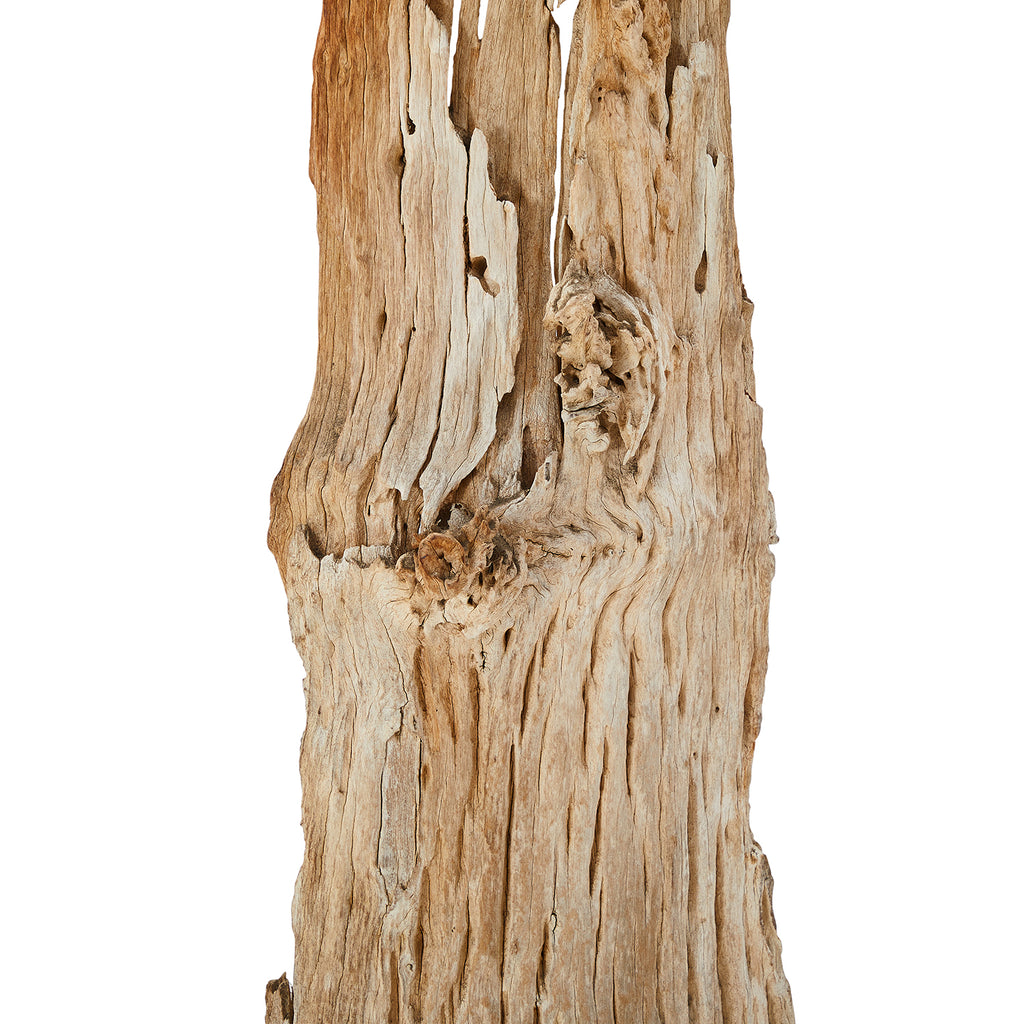 Tree Bark on Pedestal