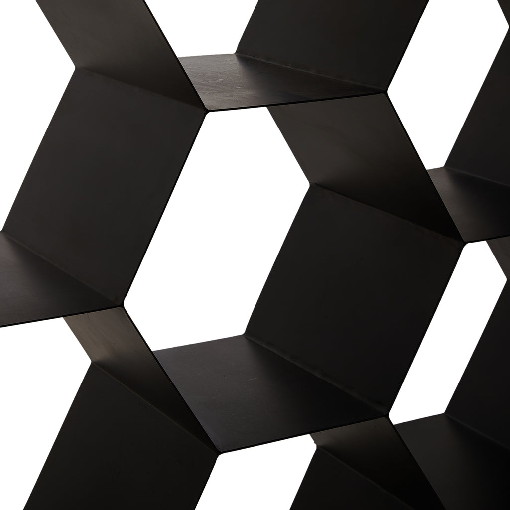 Black Hexagonal Single Panel Room Book Shelf
