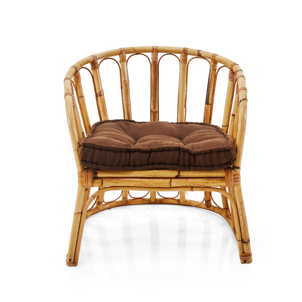 Brown Rattan Arm Chair With Cushion