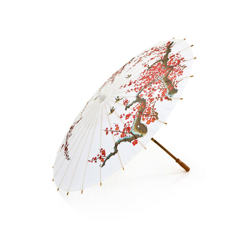 White Cherry Blossom Parasol (A+D)