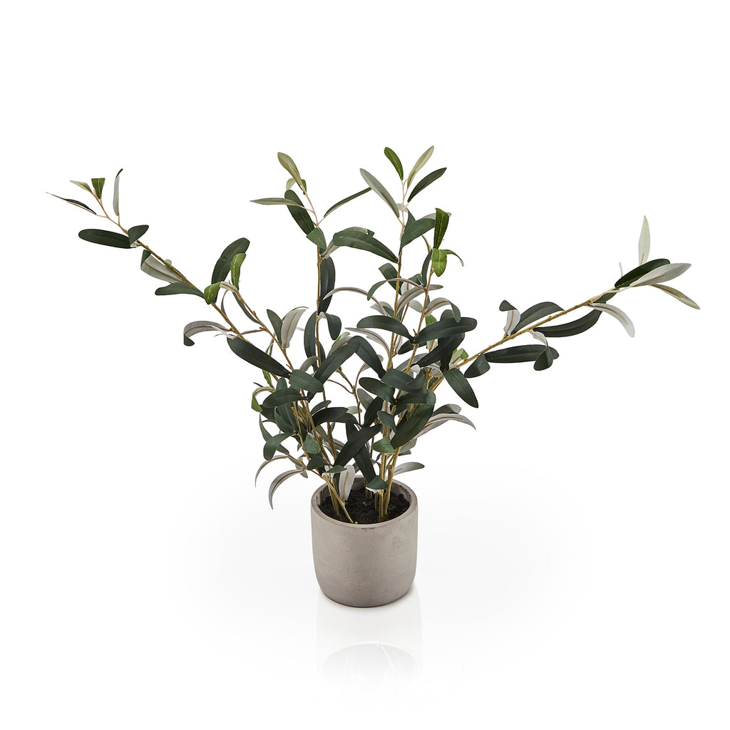 Grey Planter with Faux Olive Tree (A+D)