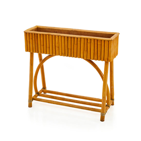 Outdoors • Plants & Planters • Plants