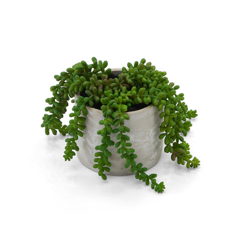 Grey Ceramic Pot Plastic Succulent (A+D)