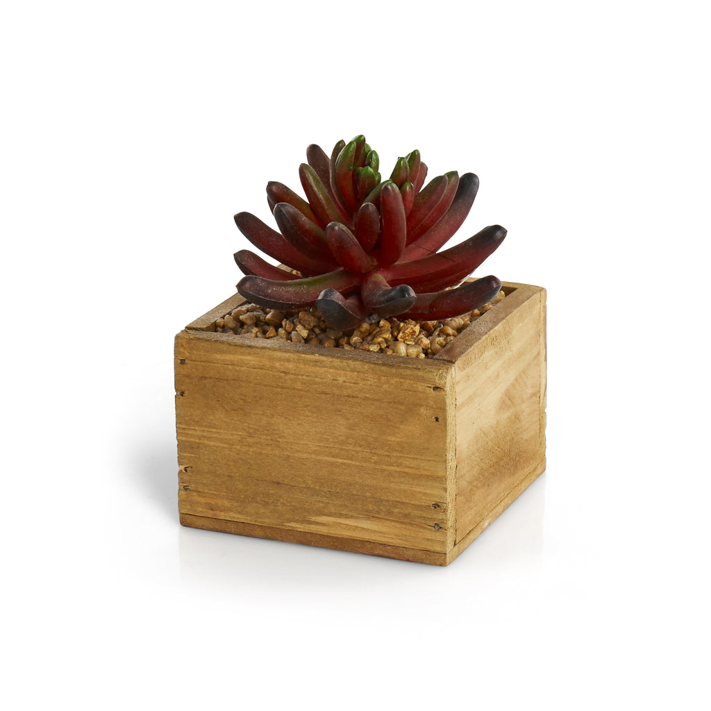 Wood Box Plant Holder with Succulent