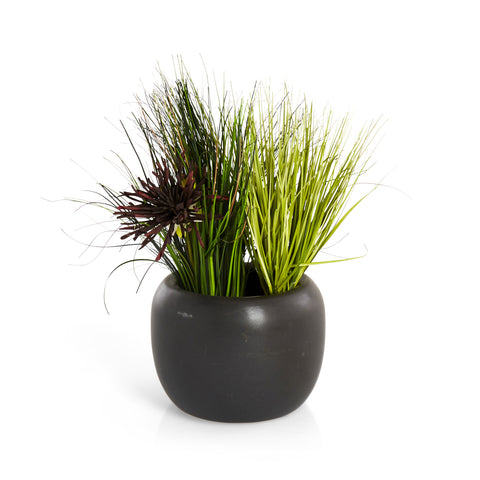Black Round Planter with Wild Grass