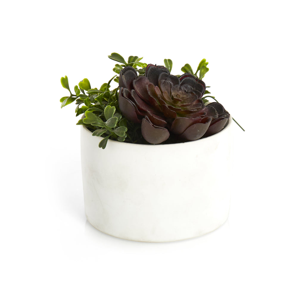White Small Planter with Succulent