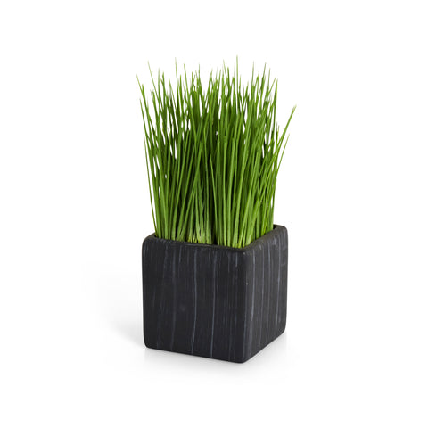 Black Ceramic Cube Planter with Grass