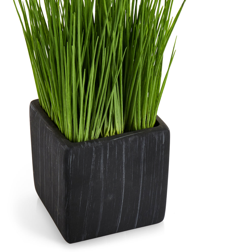 Black Ceramic Cube Planter with Grass