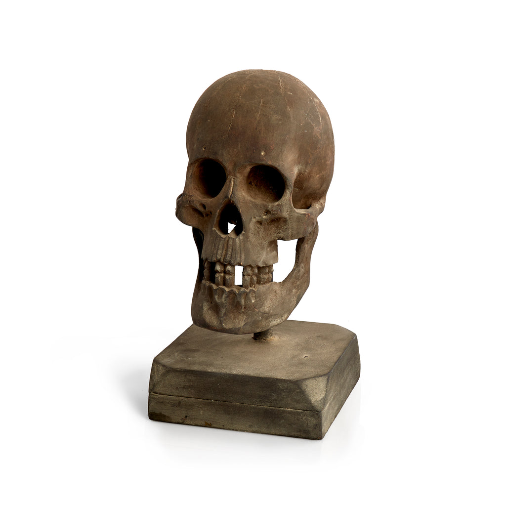 Brown Concrete Human Skull Sculpture