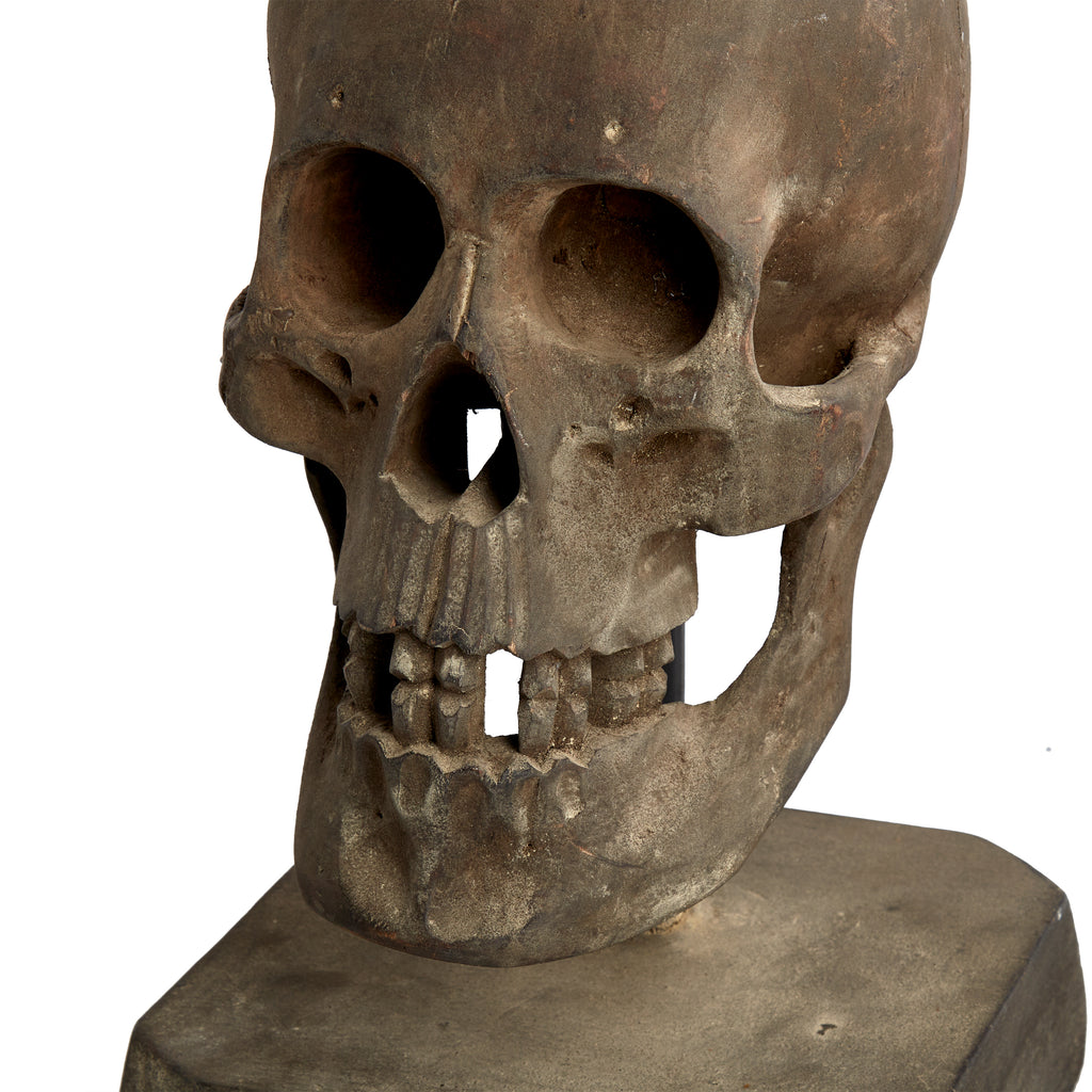 Brown Concrete Human Skull Sculpture