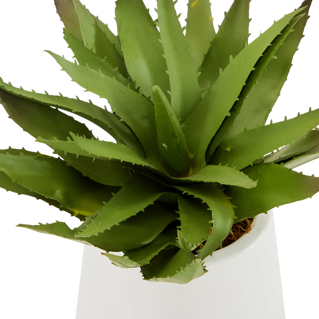 White Tapered Pot with Faux Aloe Plant