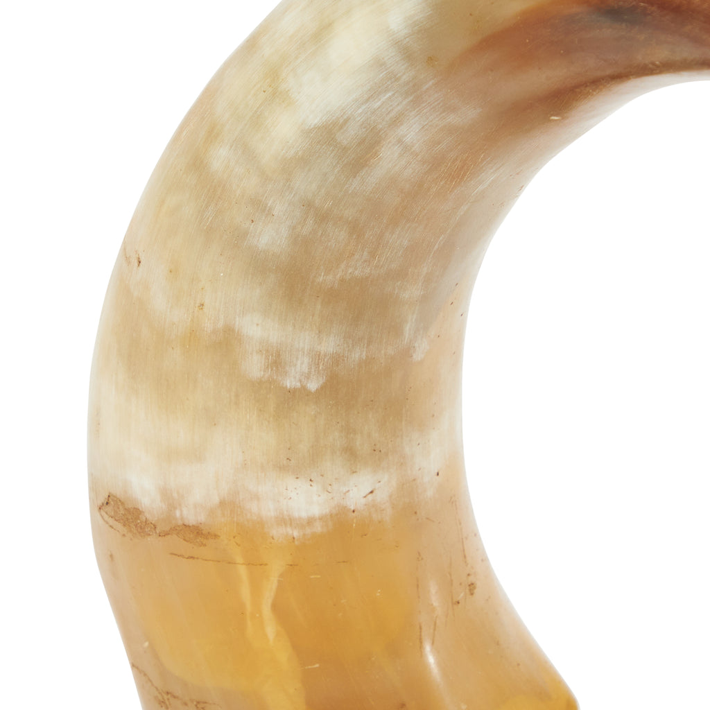 Tan Animal Horn