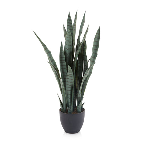 Faux Aloe Vera Plant