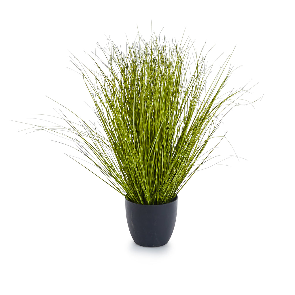 Faux Striped Grass Plant