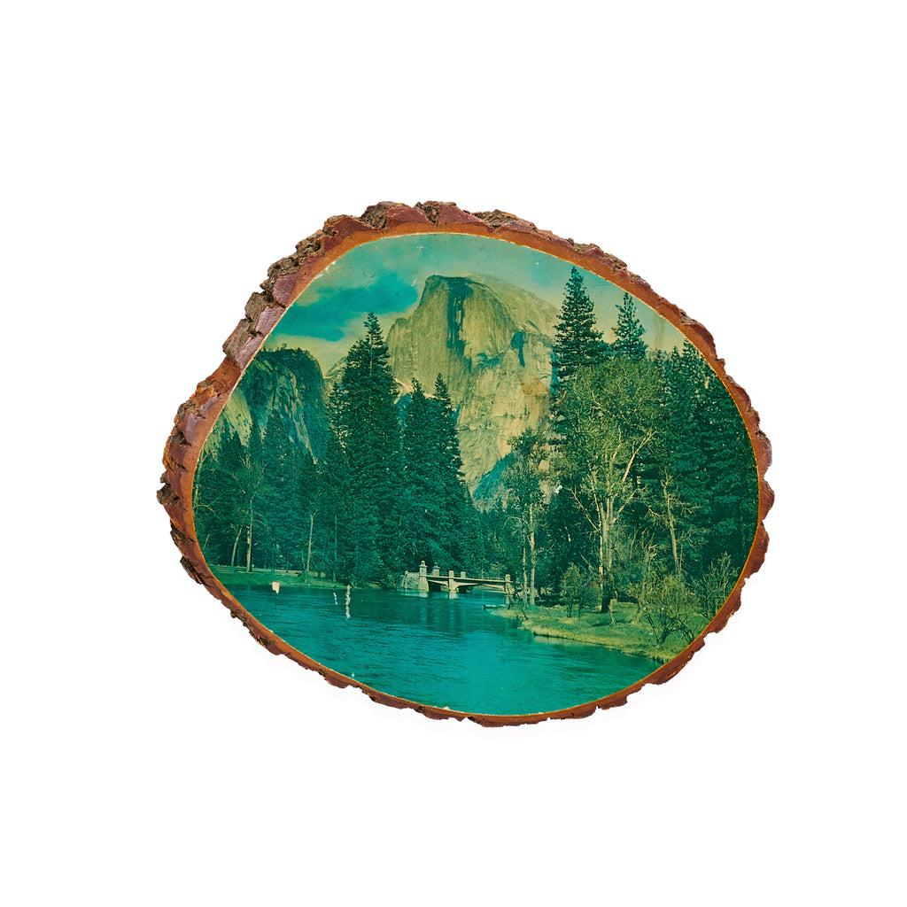 Half Dome Mirror Lake Log Slice (A+D)