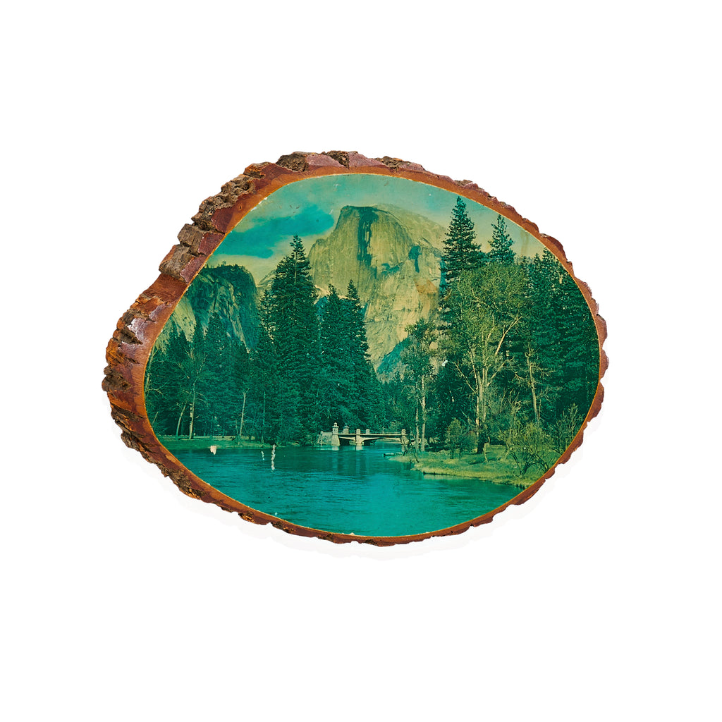 Half Dome Mirror Lake Log Slice (A+D)