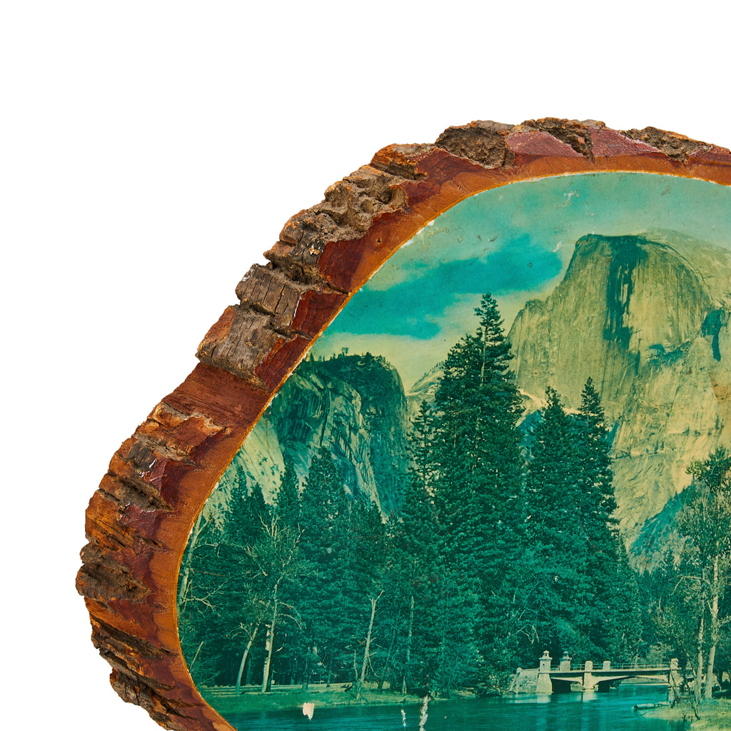 Half Dome Mirror Lake Log Slice (A+D)