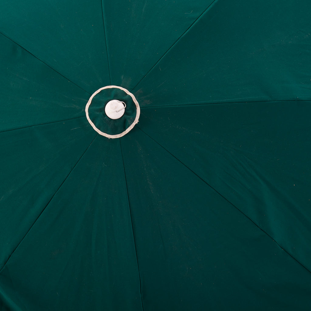 Green Umbrella with White Trim