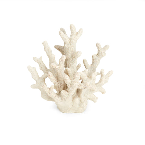 Small White Coral