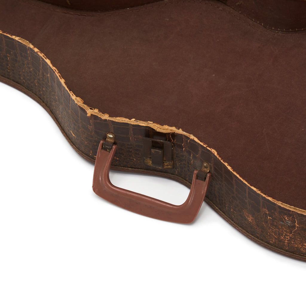 Brown Alligator Skin Guitar Case
