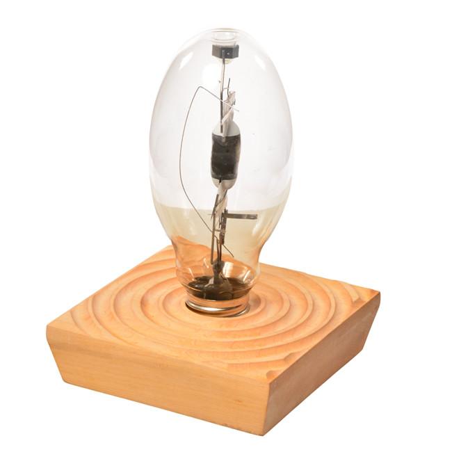 Bulb in Light Wood Table Light - Small