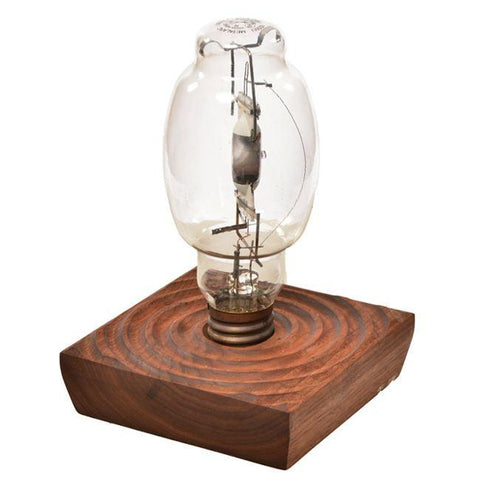 Bulb in Dark Wood Table Light - Small