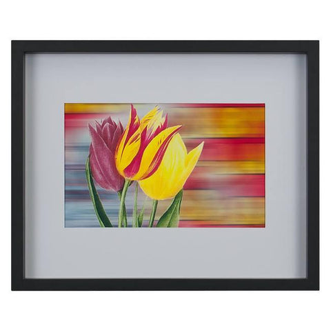 0162 (A+D) Barnum Tulip (16" x 13")
