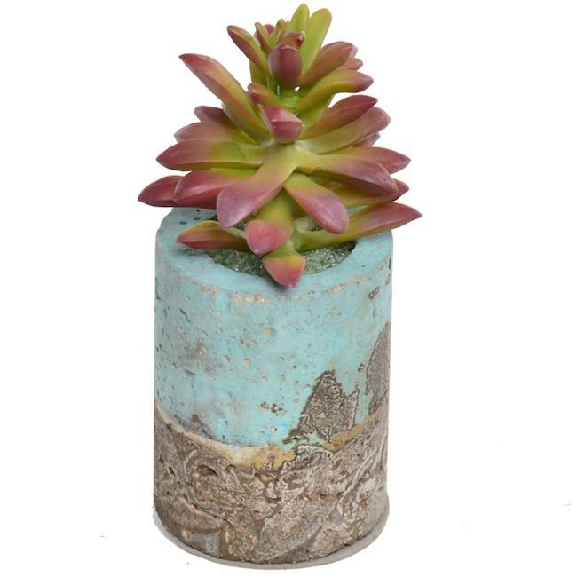 Blue Aqua Ceramic Textured Vase with Red Green Succulent (A+D)