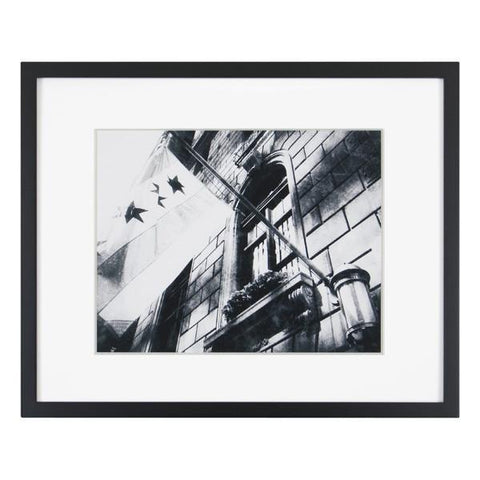 0263 (A+D) BW Chicago City Flag (21.5" x 17.5")