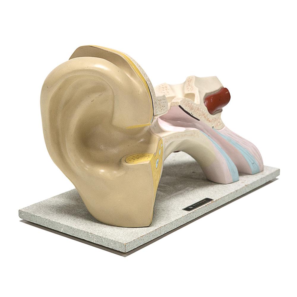 Ceramic Ear