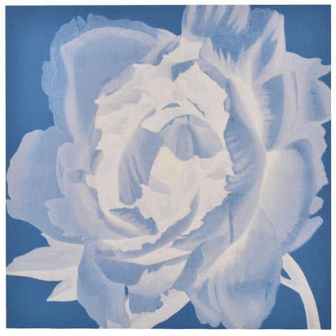 0676 (A+D) Sun Print Flower (36" x 36")