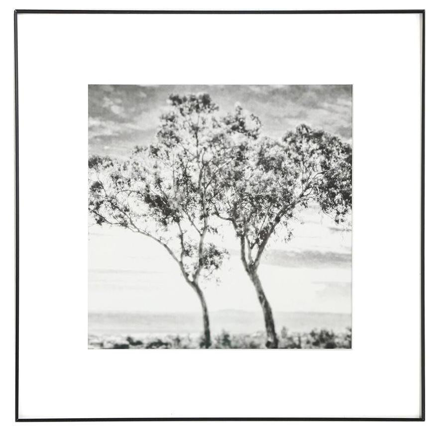 0844 (A+D) Belmont Trees (16" x 16")