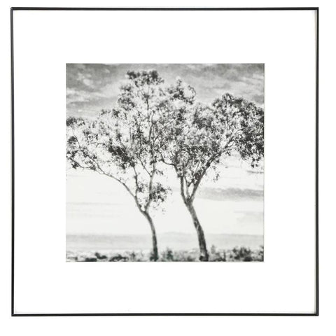 0844 (A+D) Belmont Trees (16" x 16")