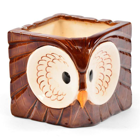 Brown Ceramic Owl Square Pot