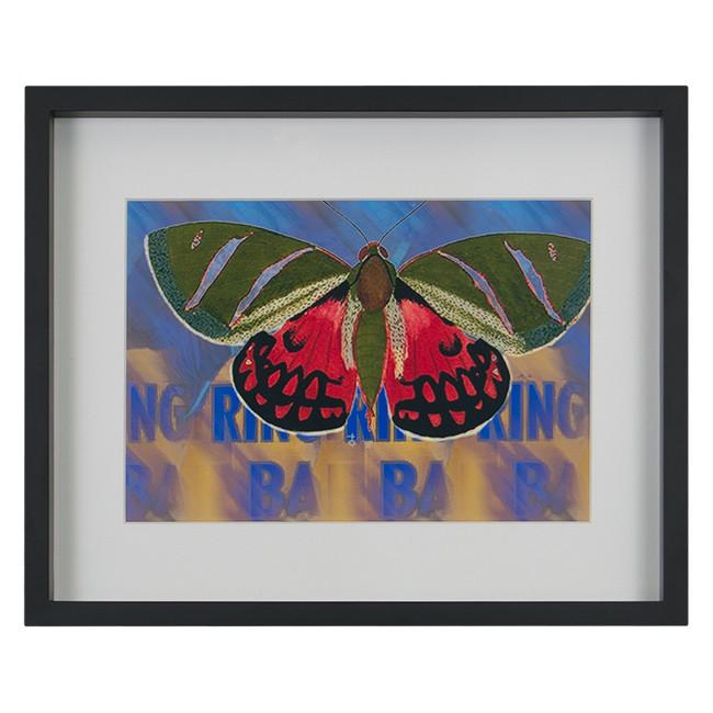0161 (A+D) Barnum Butterfly (16" x 13")