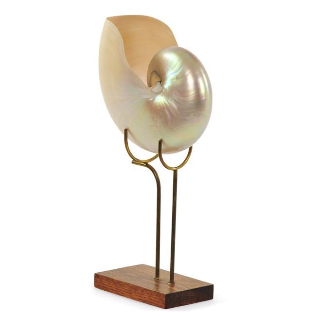 Iridescent Seashell on Pedestal (A+D)