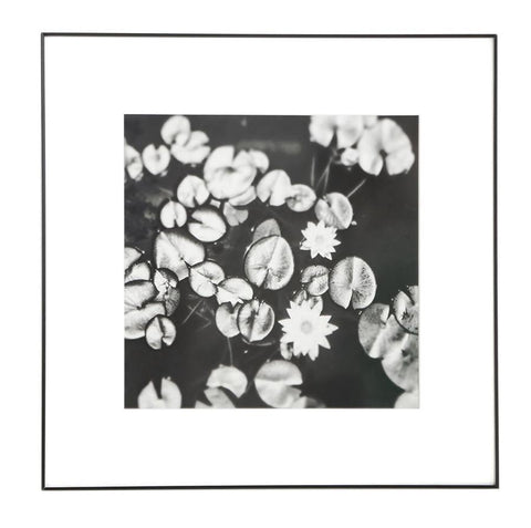 0846 (A+D) Belmont Water Lilies (16" x 16")