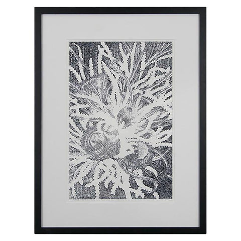 0180 (A+D) Dryandra White