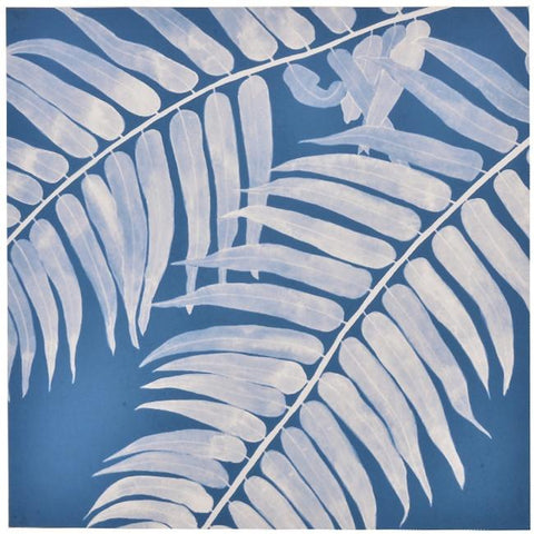 0675 (A+D) Sun Print Fern (36" x 36")