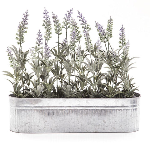Silver Aluminum Planter with Lavender Long (A+D)