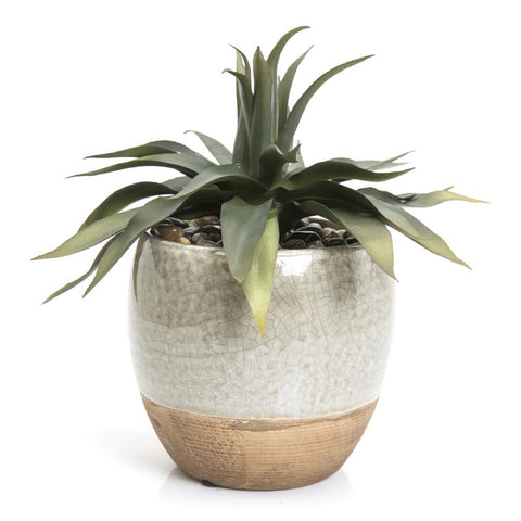 Silver Crackle Ceramic Pot with Succulent (A+D)