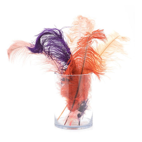 Multi Glass Cylinder with Feathers (A+D)