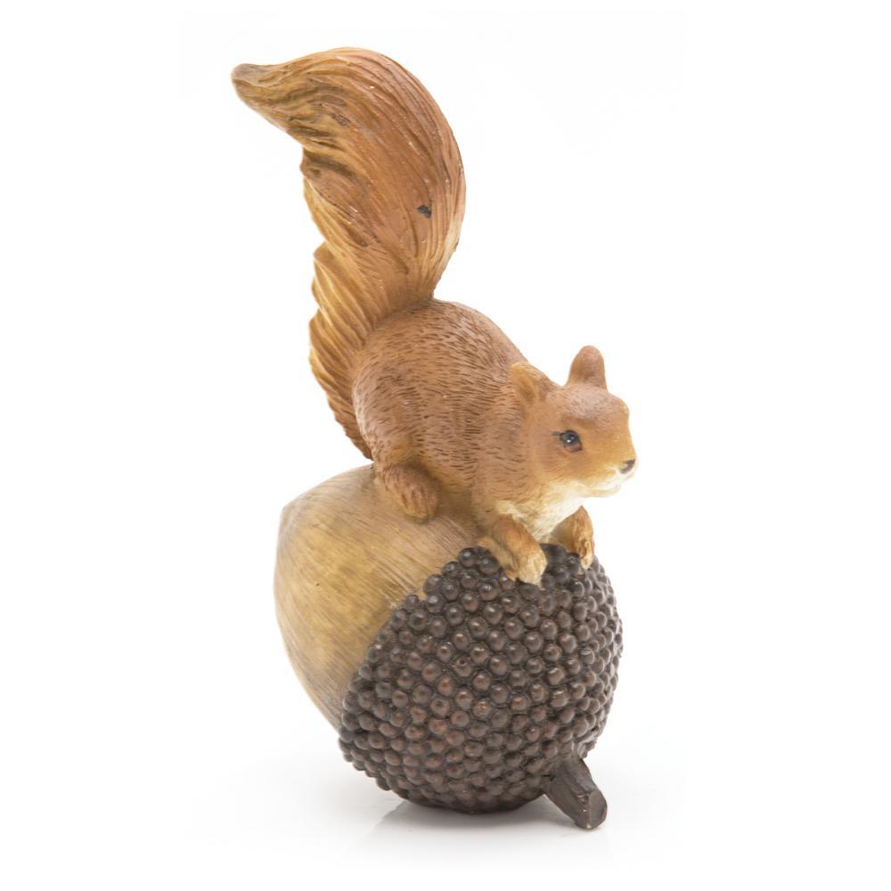 Brown Squirrel with Nut (A+D)