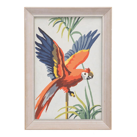 0944 (A+D) PBN Parrot Palm