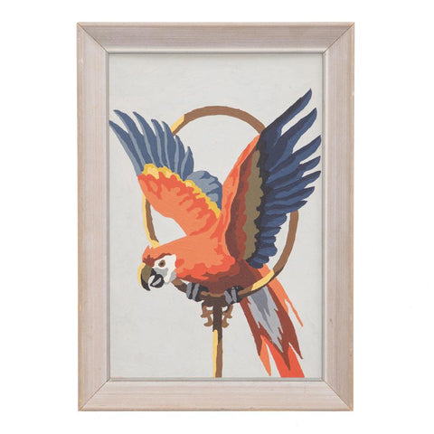 0945 (A+D) PBN Parrot Ring