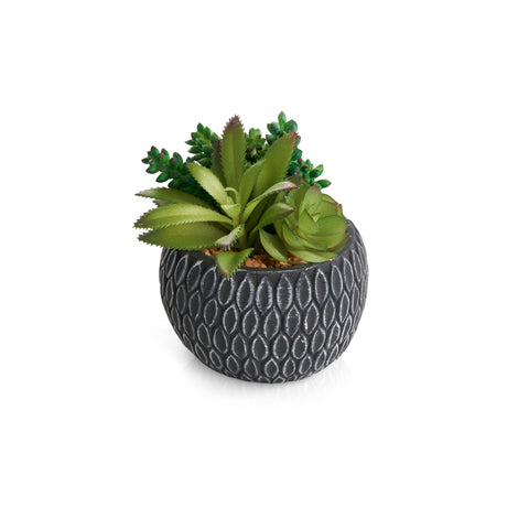 Faux Succulent in Grey Plant